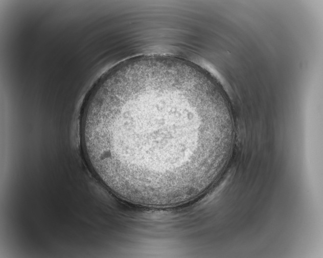 X0000088861075200707061047