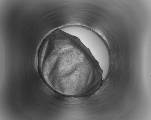 X0000088861076200707061047