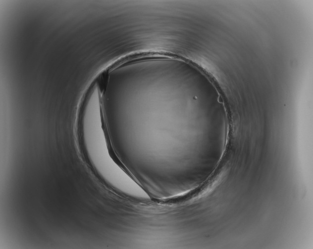 X0000088861077200707061046