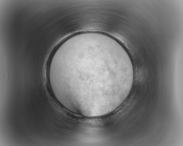 X0000088861078200707061046