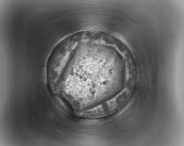 X0000088861079200707061046