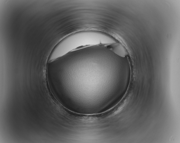 X0000088861081200707061046