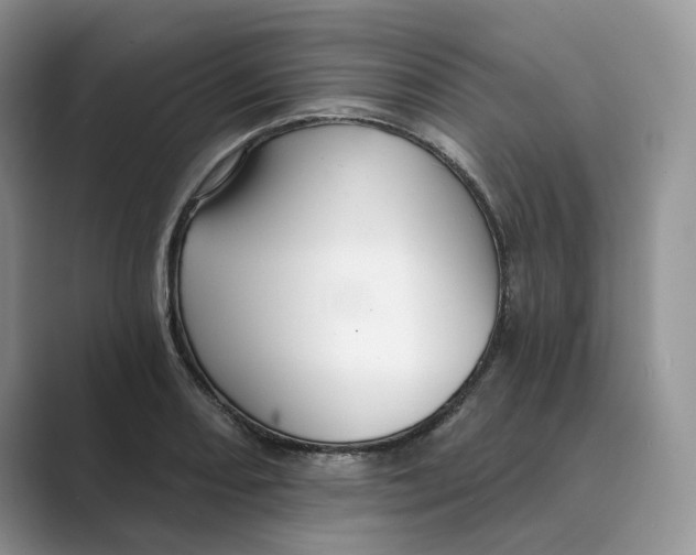 X0000088861082200707061046