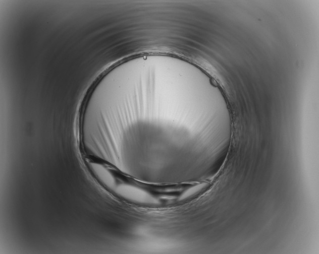 X0000088861084200707061046