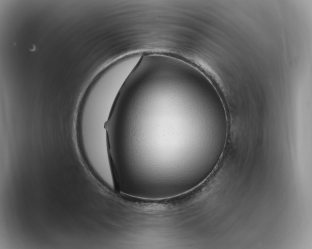 X0000088861085200707061046