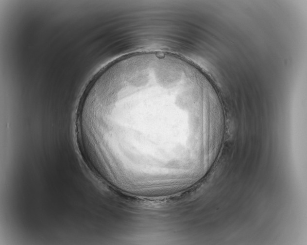 X0000088861086200707061046