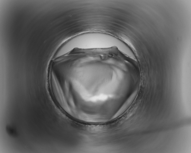 X0000088861087200707061046