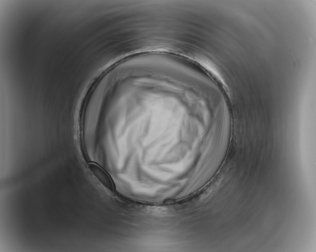 X0000088861088200707061046