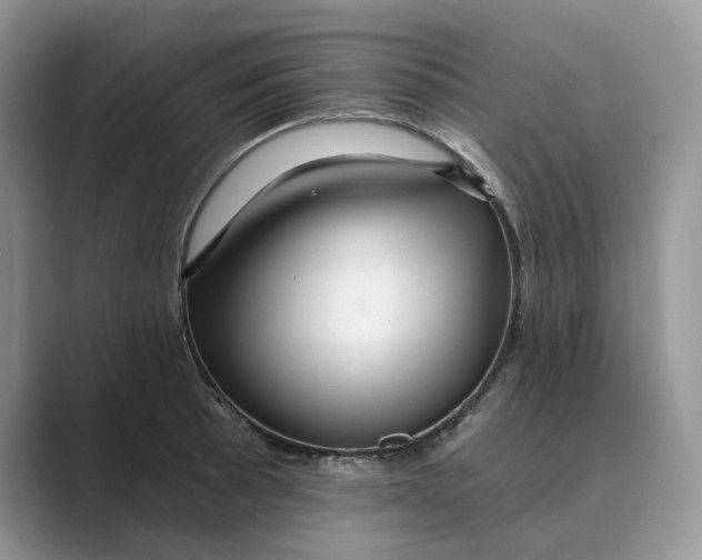 X0000088861089200707061046