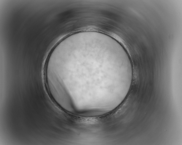 X0000088861090200707061046