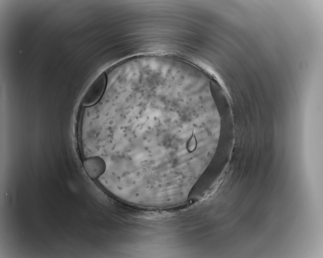 X0000088861091200707061046