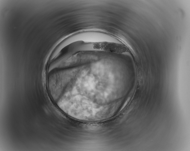 X0000088861092200707061046