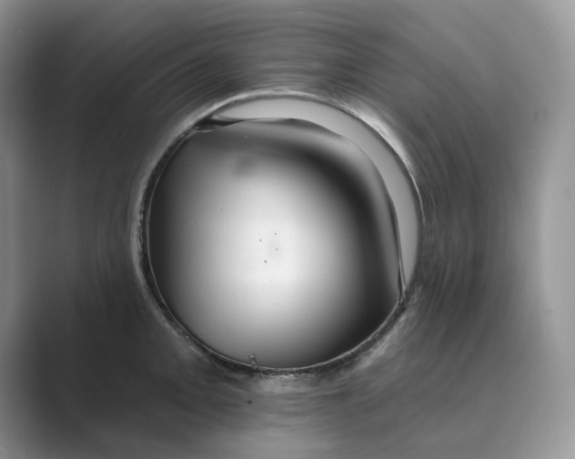 X0000088861093200707061046