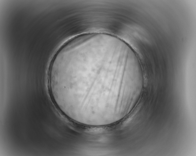 X0000088861094200707061046