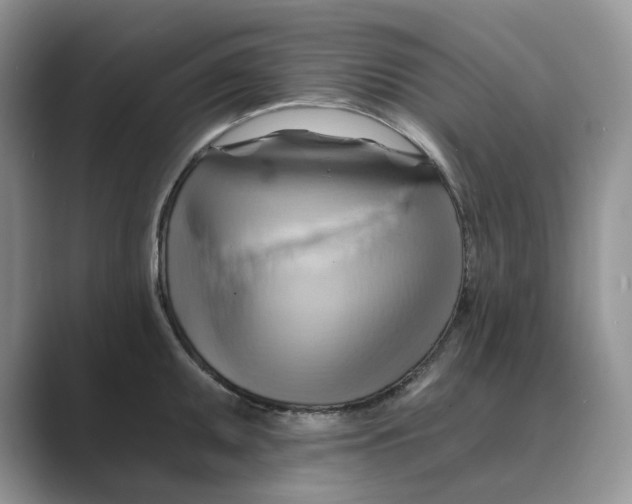 X0000088861095200707061046