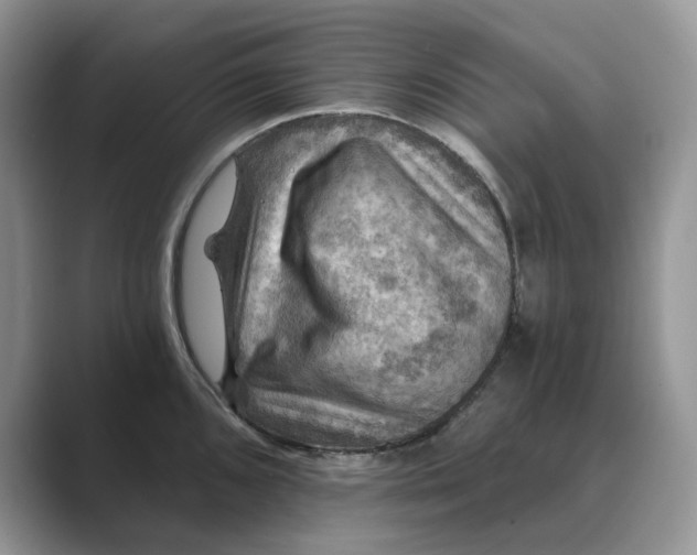 X0000088861096200707061046