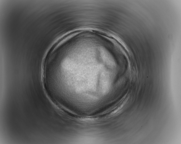 X0000088861101200707061046