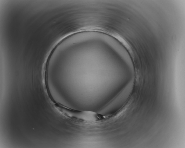 X0000088861102200707061046