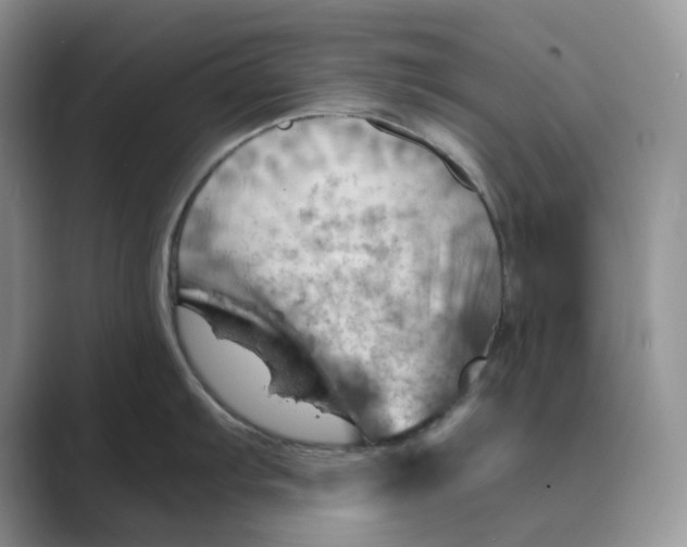 X0000088861103200707061046