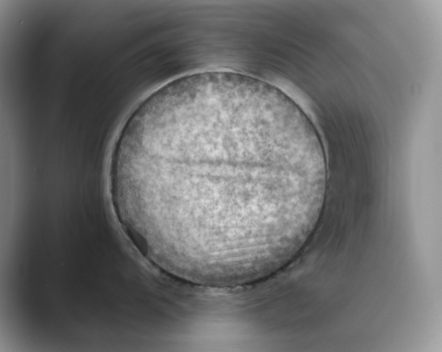 X0000088861104200707061046