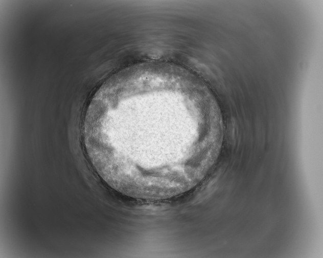 X0000088861105200707061046