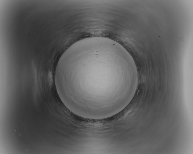 X0000088861106200707061046