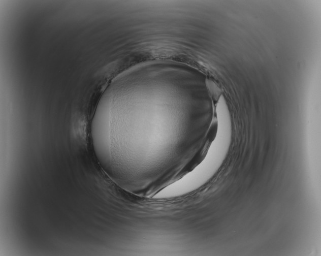 X0000088861108200707061046