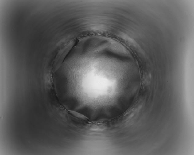 X0000088861110200707061046