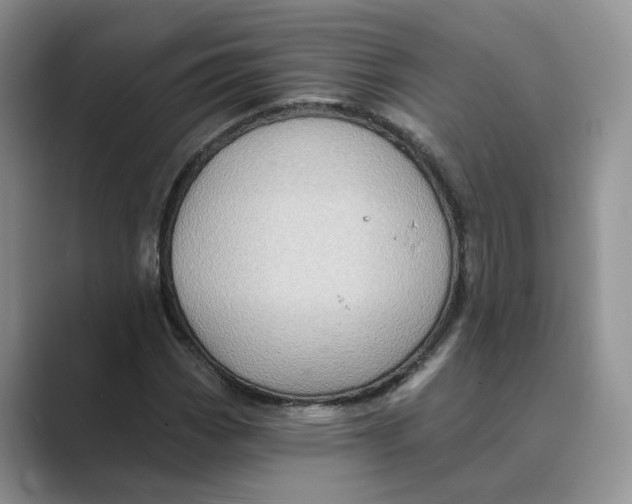 X0000088861113200707061046