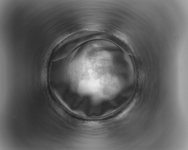 X0000088861114200707061046