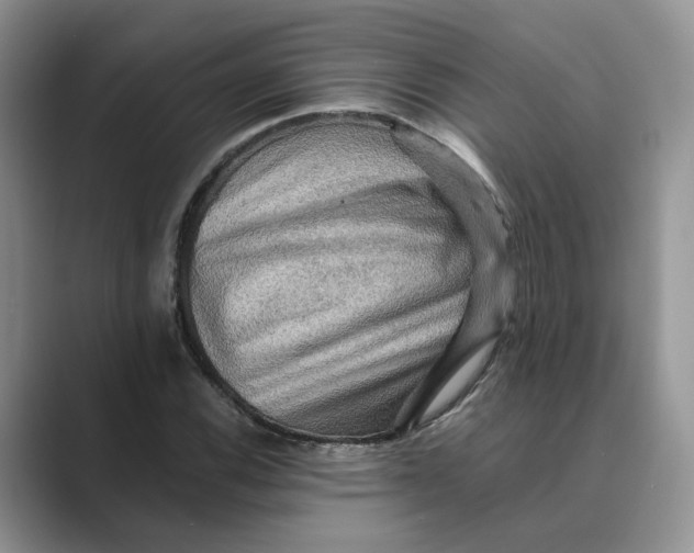 X0000088861116200707061046