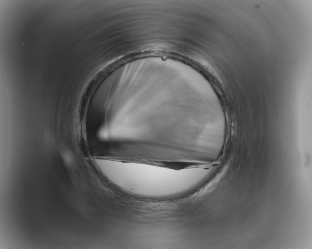 X0000088861117200707061046