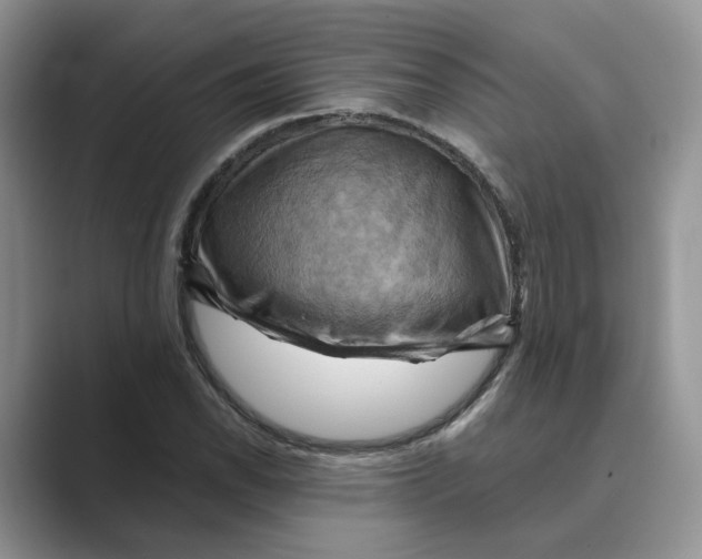 X0000088861118200707061046