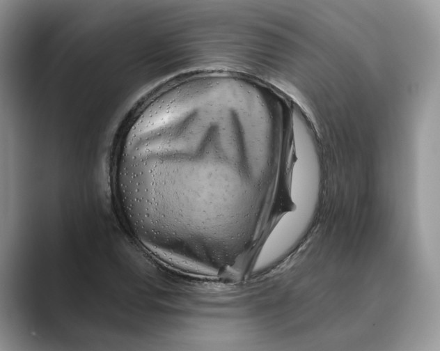 X0000088861120200707061046