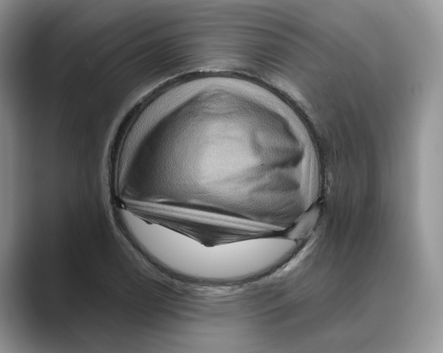 X0000088861122200707061046