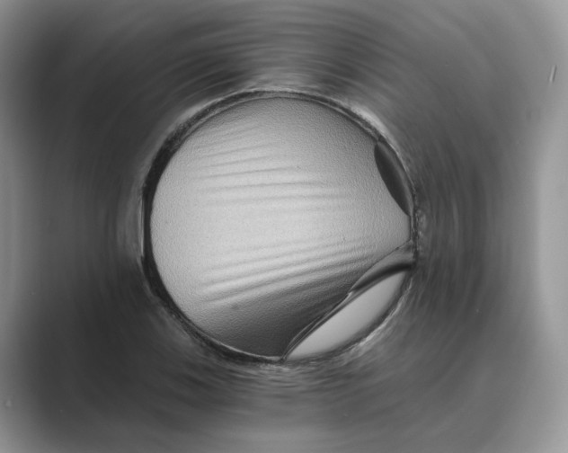 X0000088861123200707061046