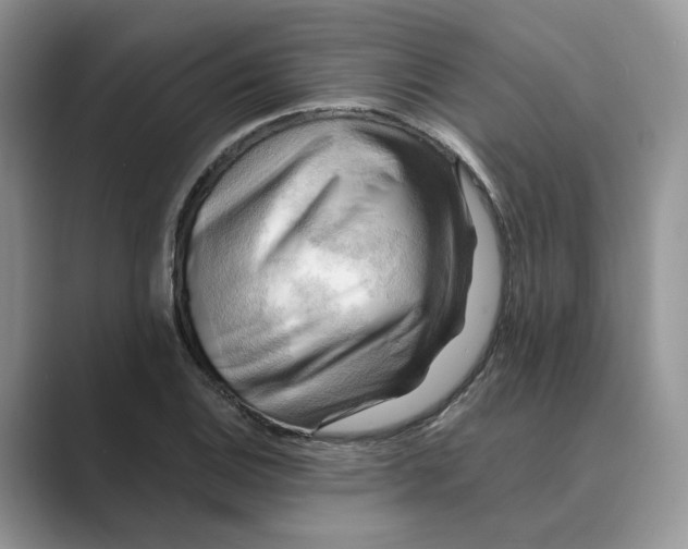 X0000088861124200707061046