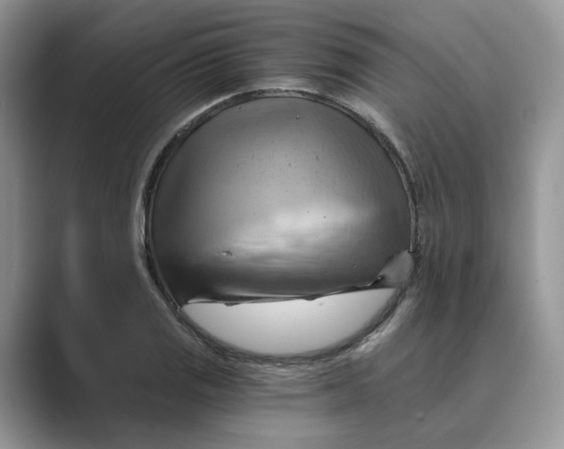 X0000088861125200707061046