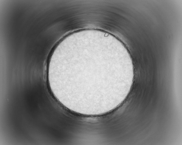 X0000088861126200707061046