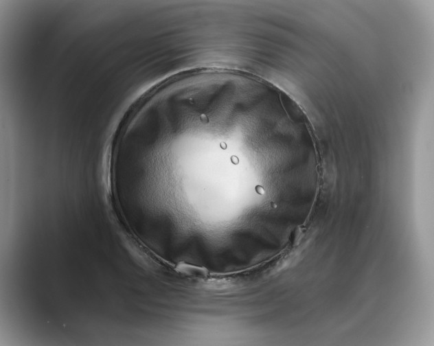 X0000088861128200707061046