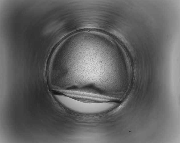 X0000088861129200707061046