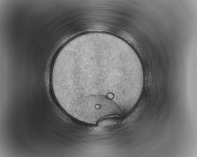 X0000088861130200707061046