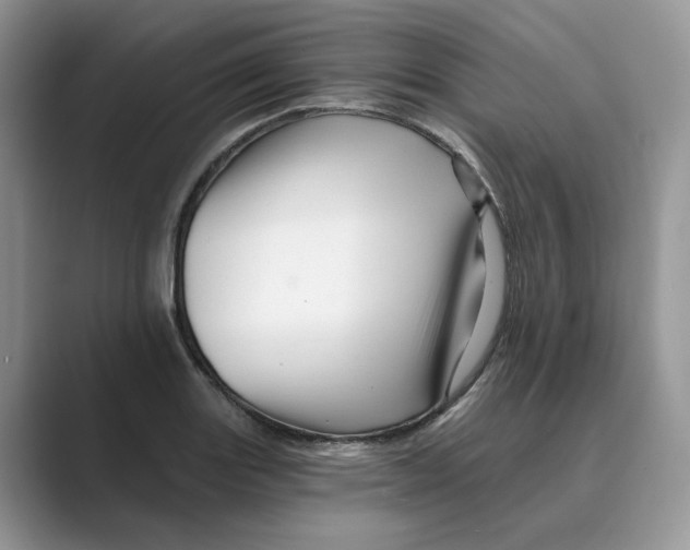 X0000088861131200707061046