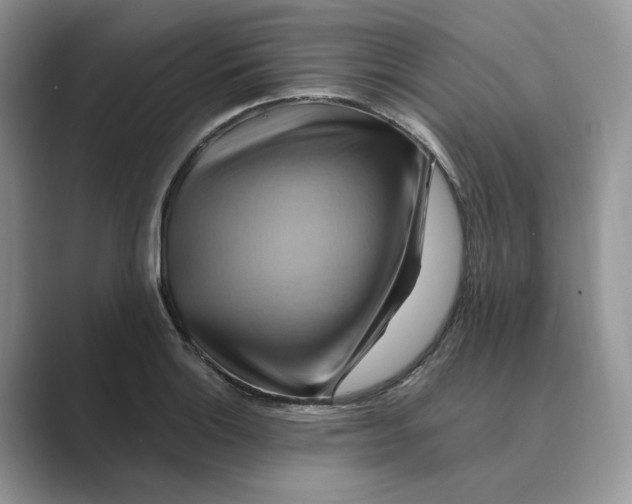 X0000088861132200707061046