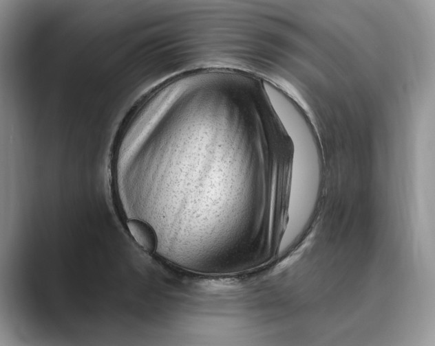 X0000088861133200707061046