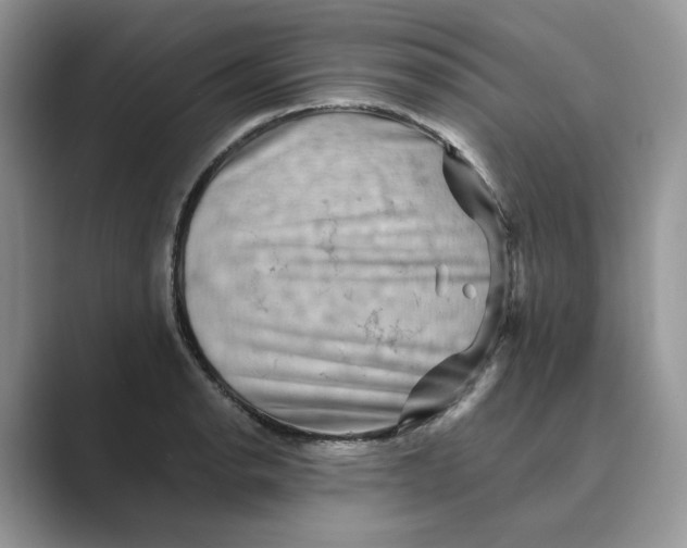 X0000088861134200707061046