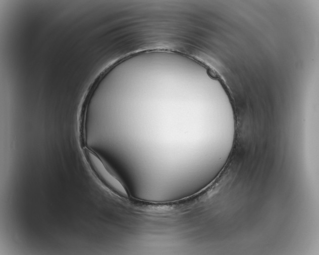 X0000088861135200707061046