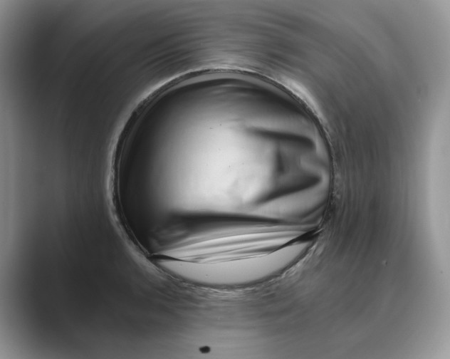 X0000088861136200707061046