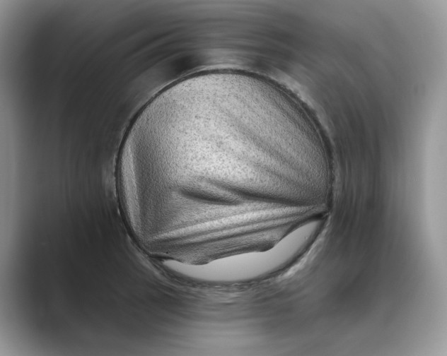 X0000088861137200707061046