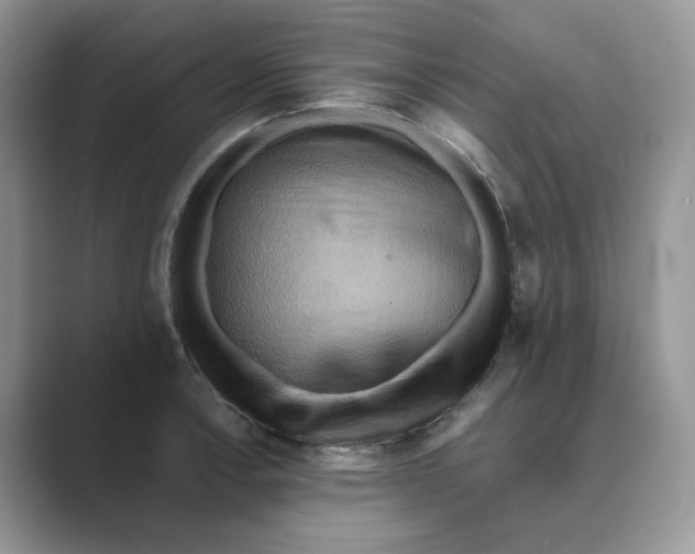 X0000088861138200707061046